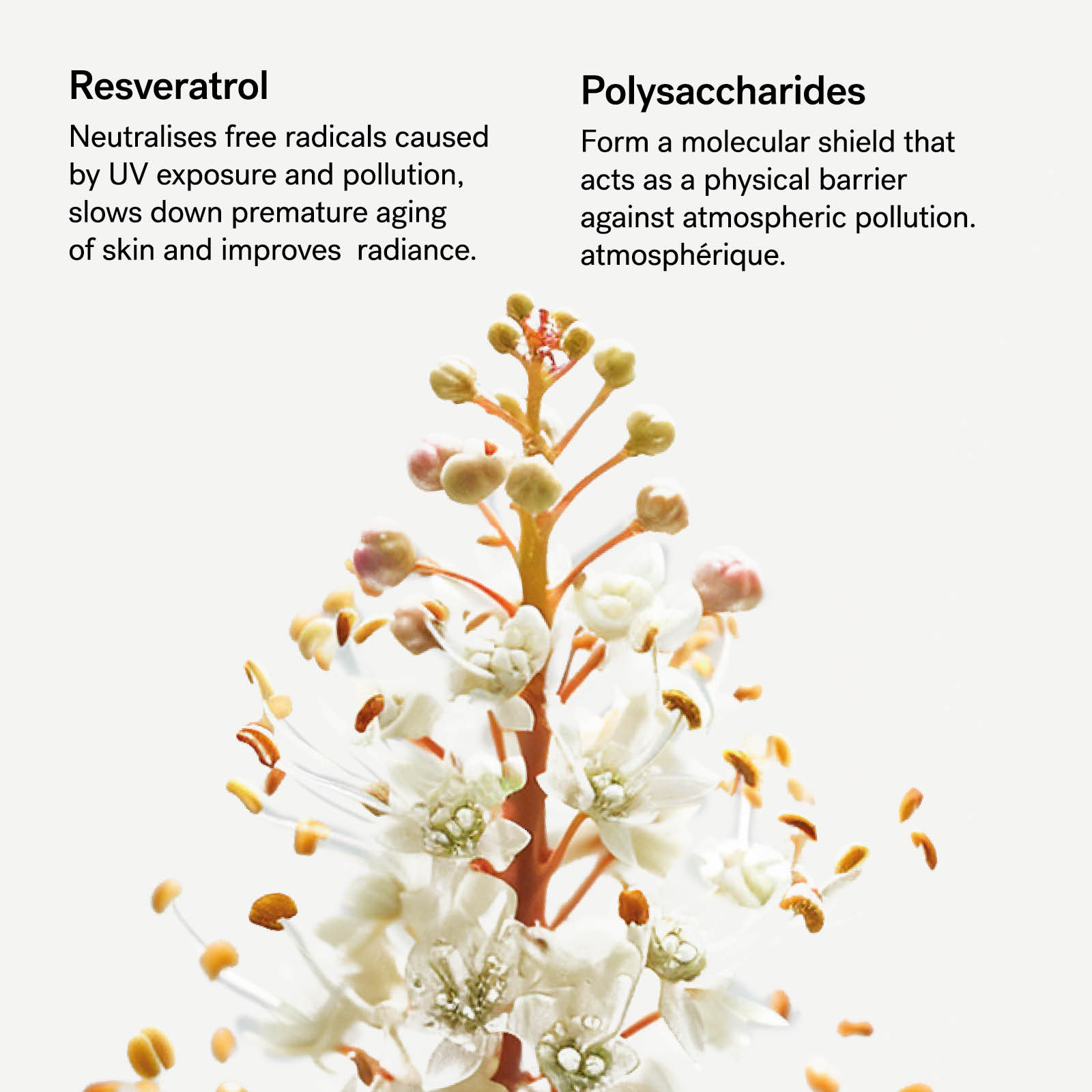 SPF 30 Urban Shield Serum — Typology