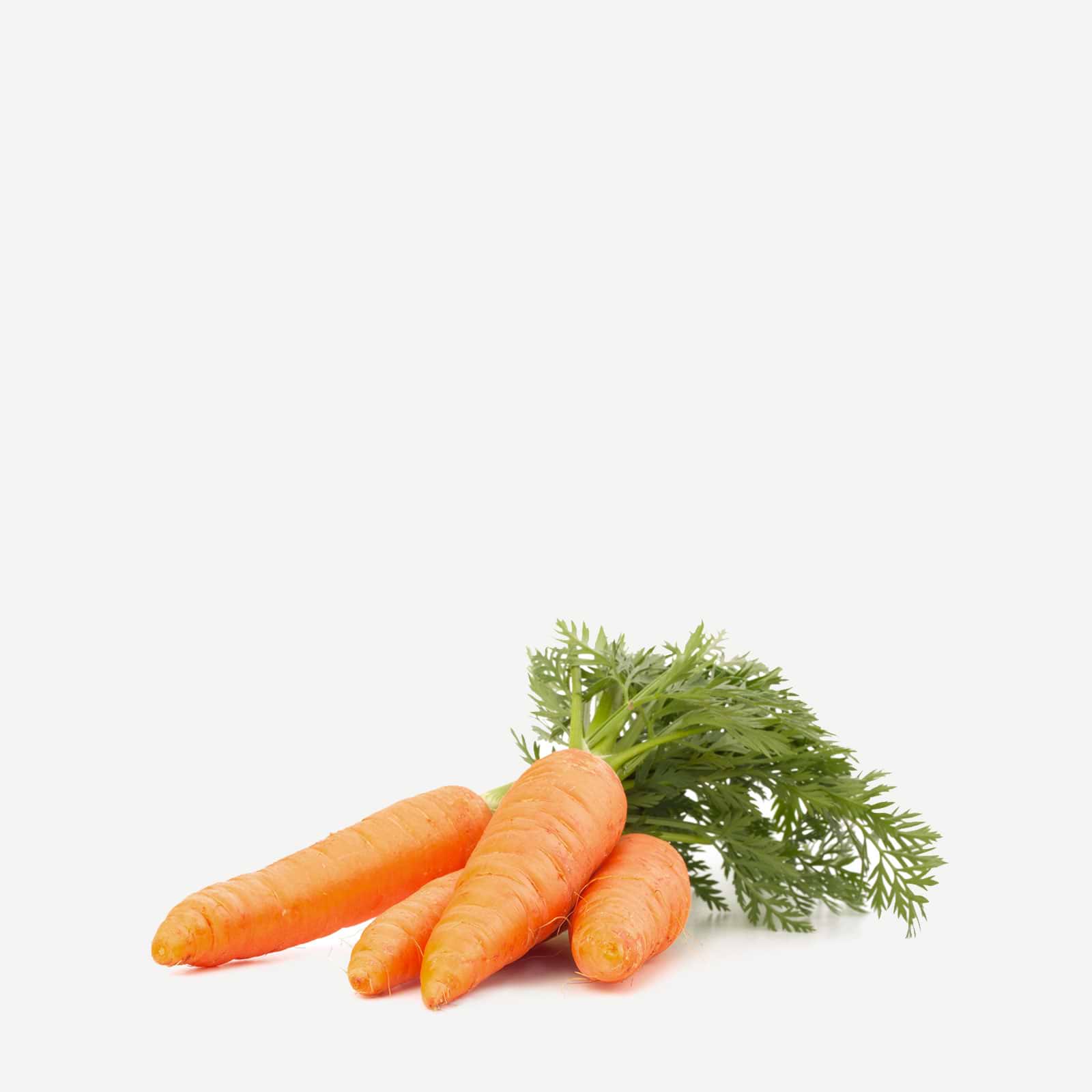 Bienfaits de la carotte pour la peau.