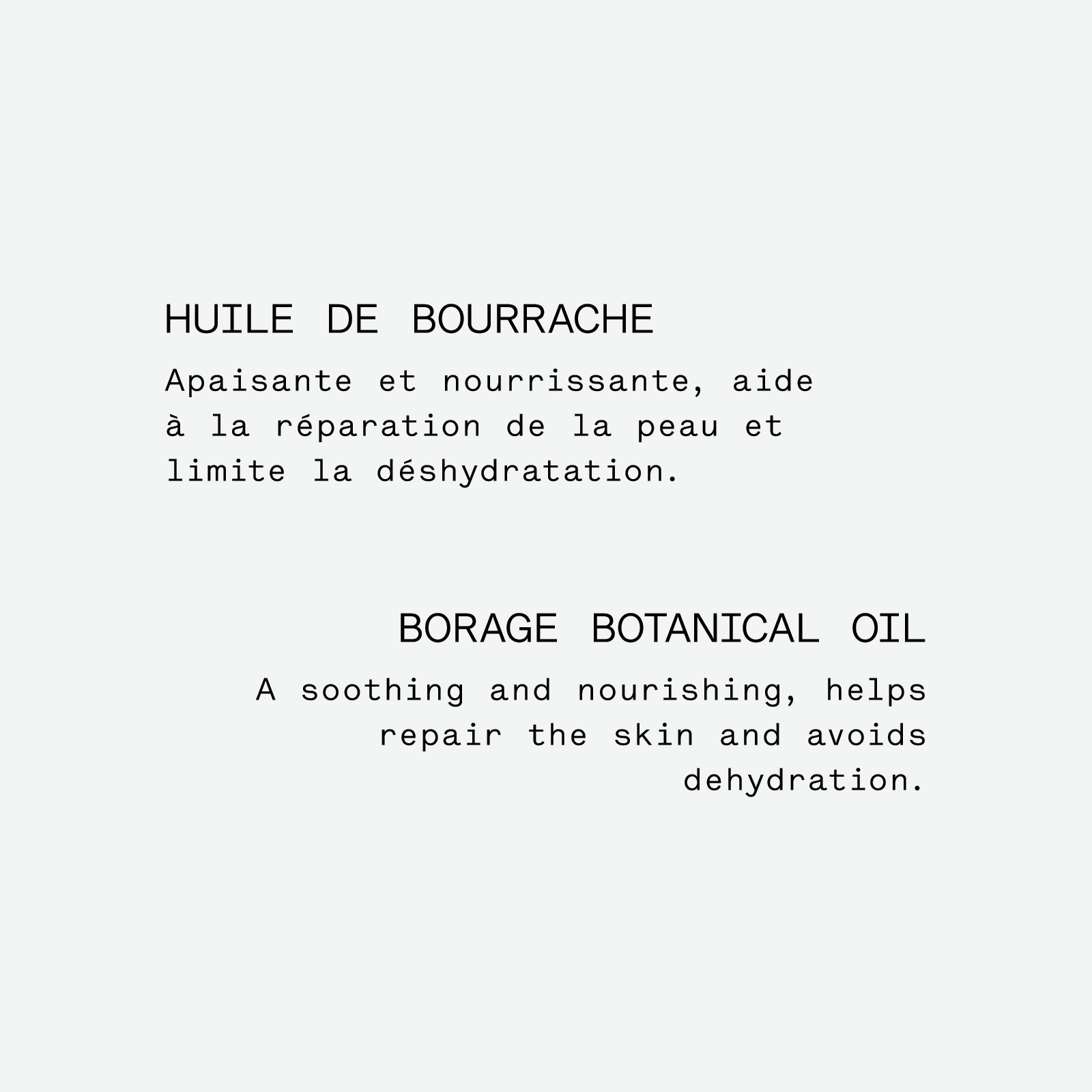 Assemblage botanique hydratant  au papyrus — Typology