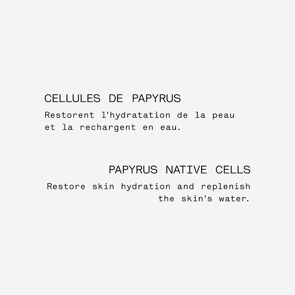 Assemblage botanique hydratant  au papyrus — Typology