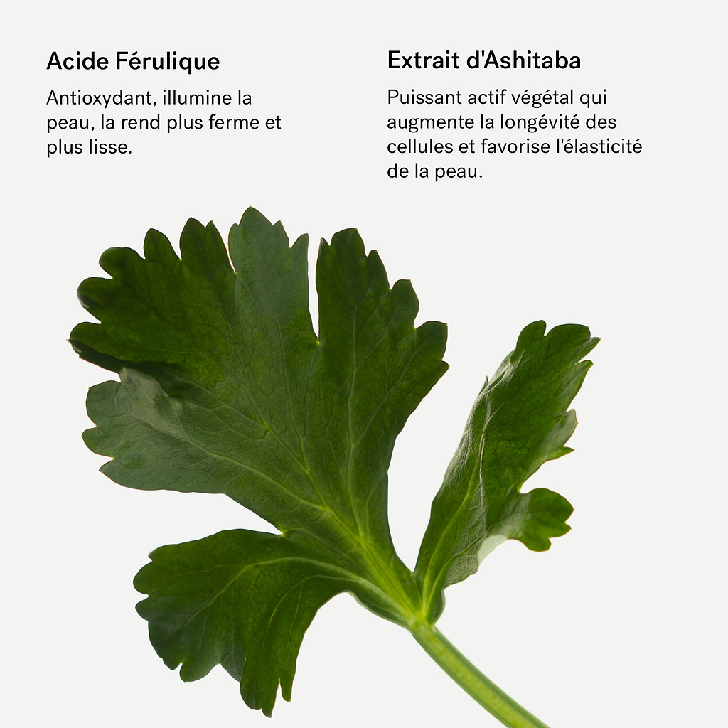 Sérum Antioxydant Acide férulique 3% + Ashitaba — Typology