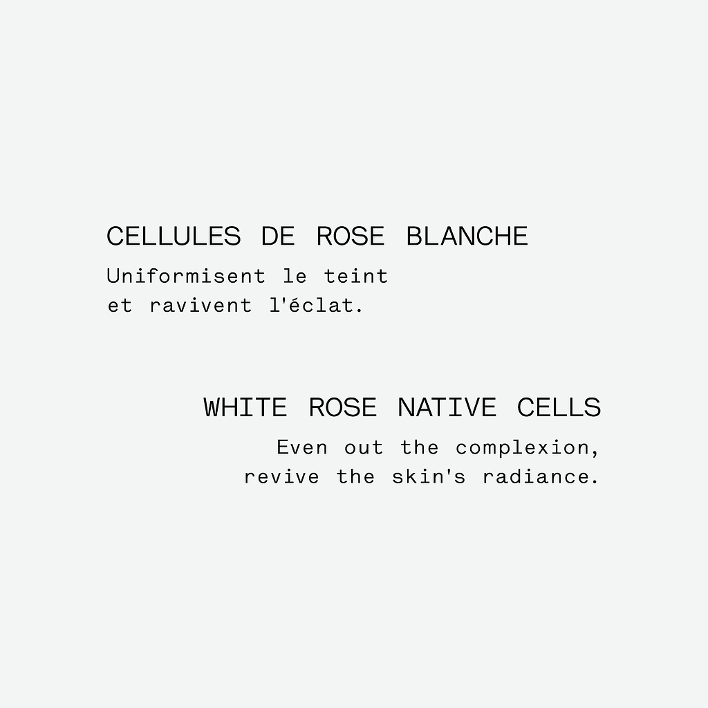 Assemblage Botanique Éclat  Cellules de rose blanche — Typology