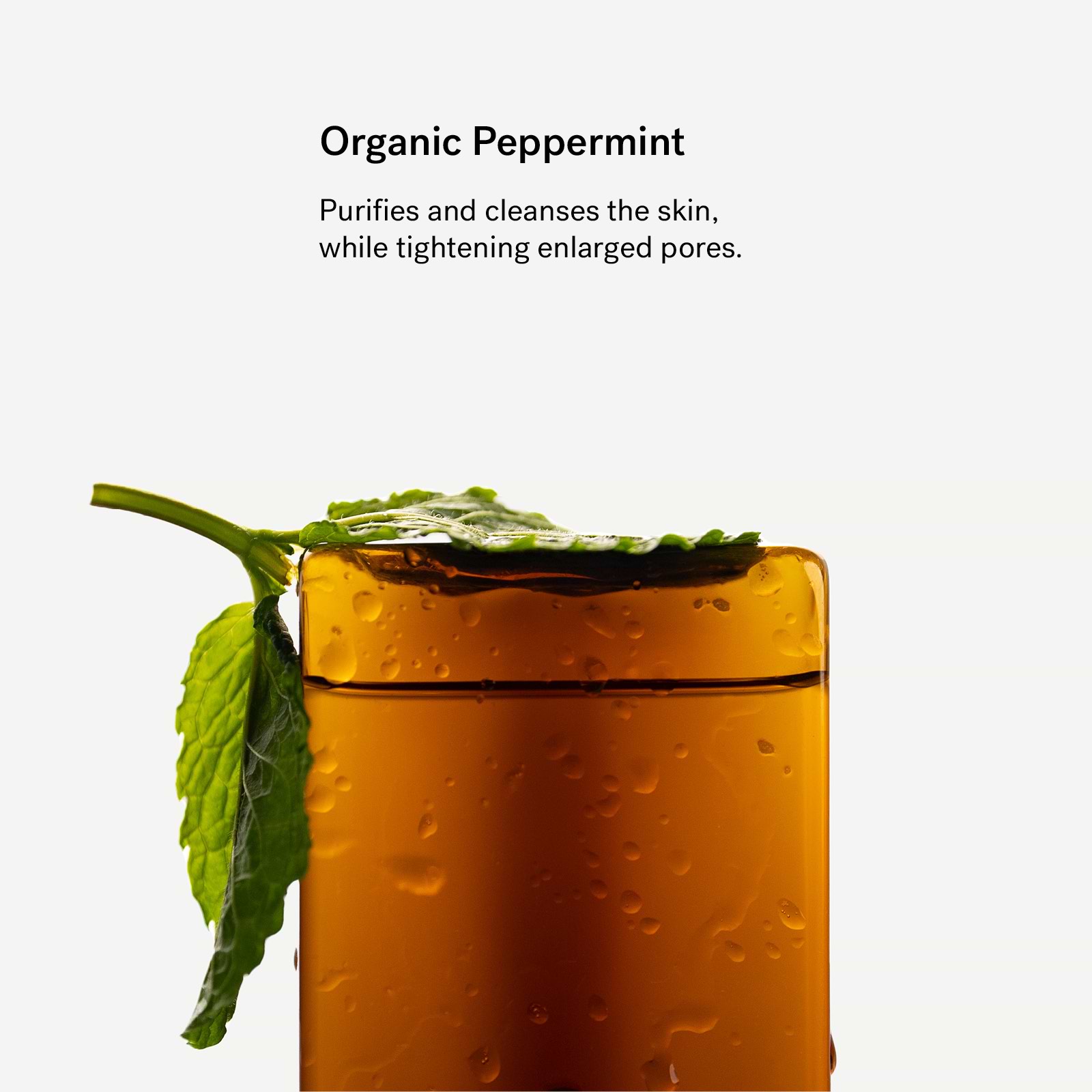 Organic Peppermint Hydrolate - Hydrolates & Lotions — Typology