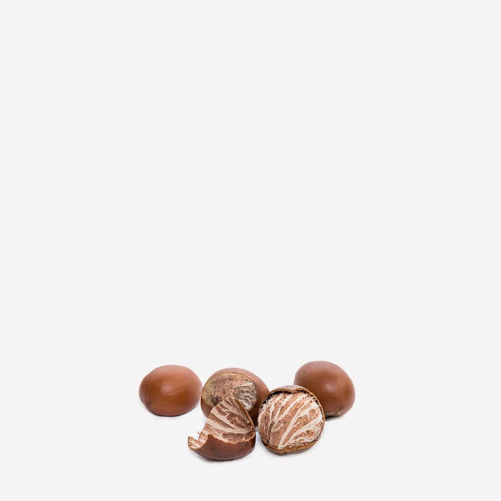 Composition biochimique du beurre de karité.