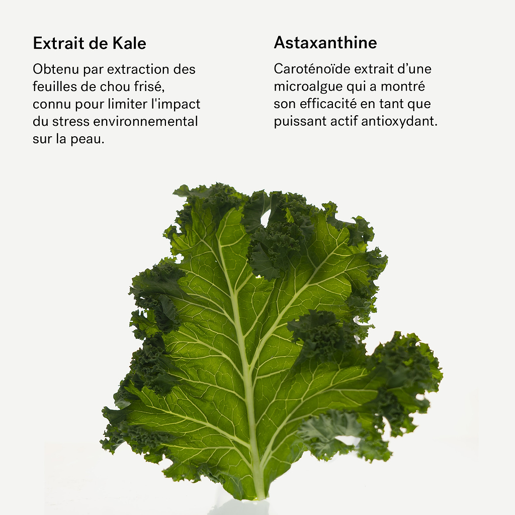 Crème antioxydante aux Caroténoïdes et à l'Extrait de lavande Bio — Typology