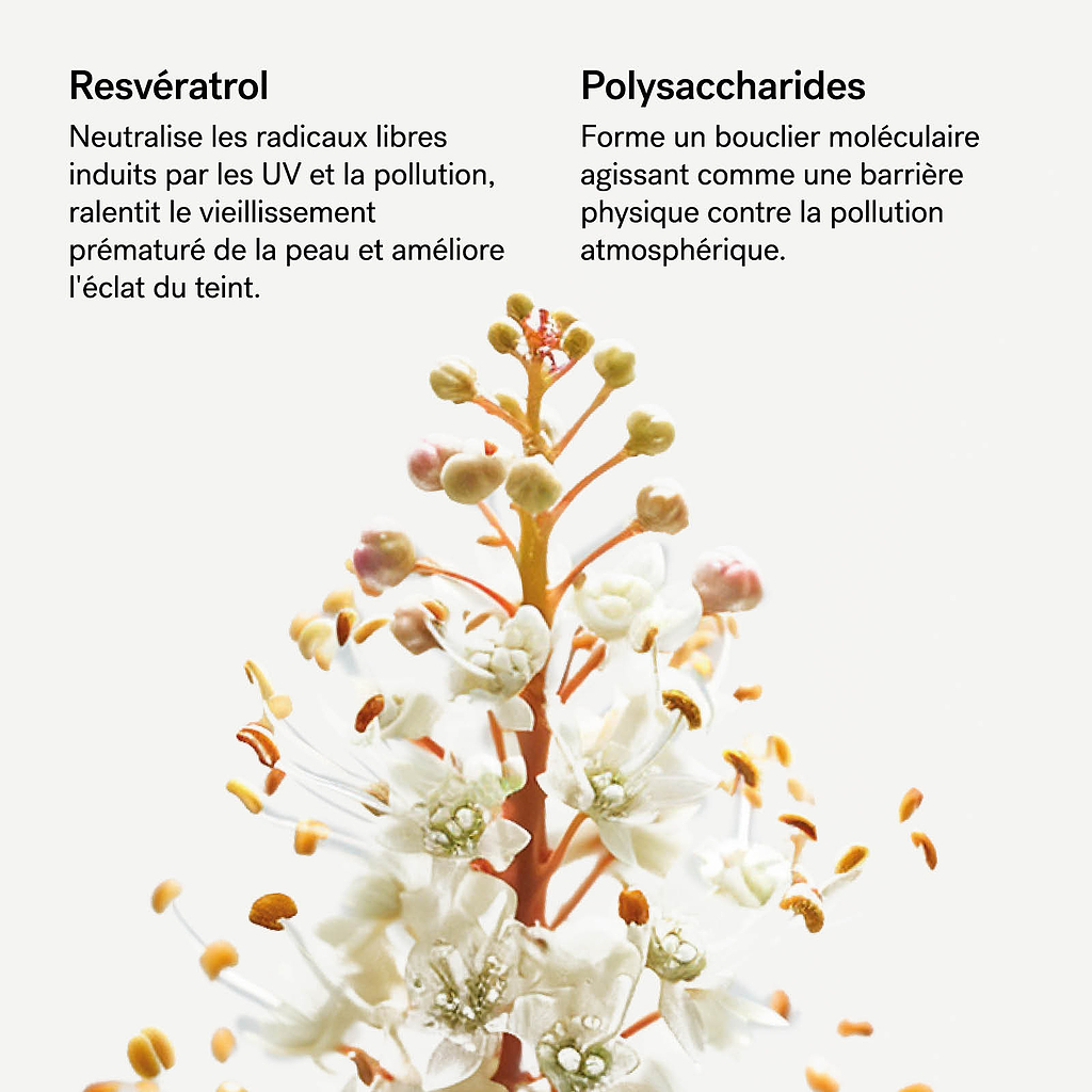 Sérum protecteur urbain SPF 30  Resvératrol 1% + Polysaccharides — Typology