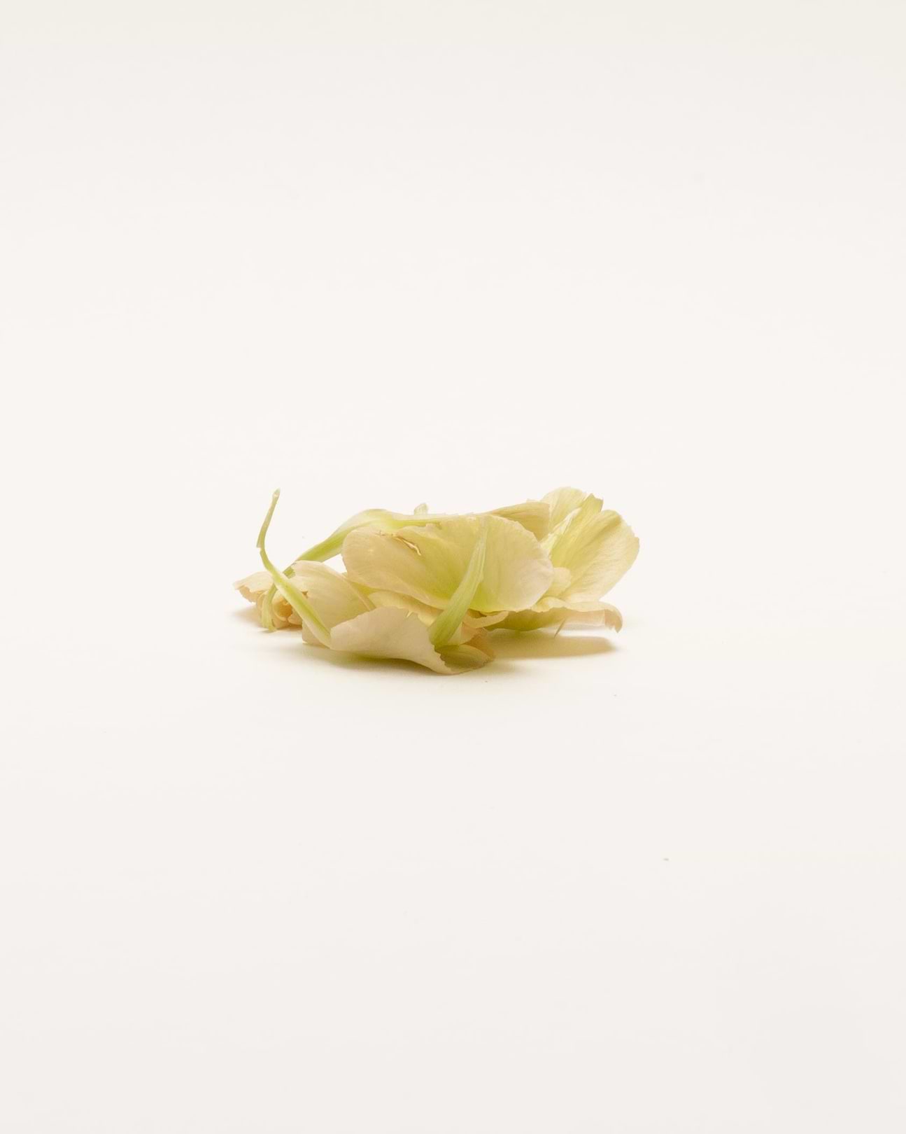 Bienfaits huile de camélia peau.