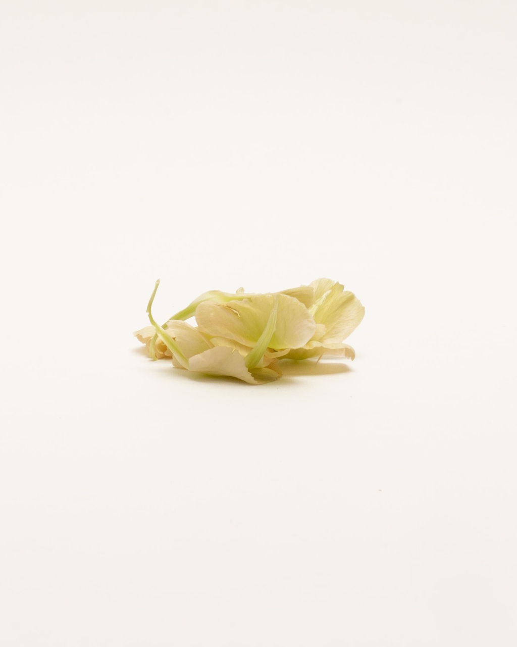 Bienfaits huile de camélia peau.