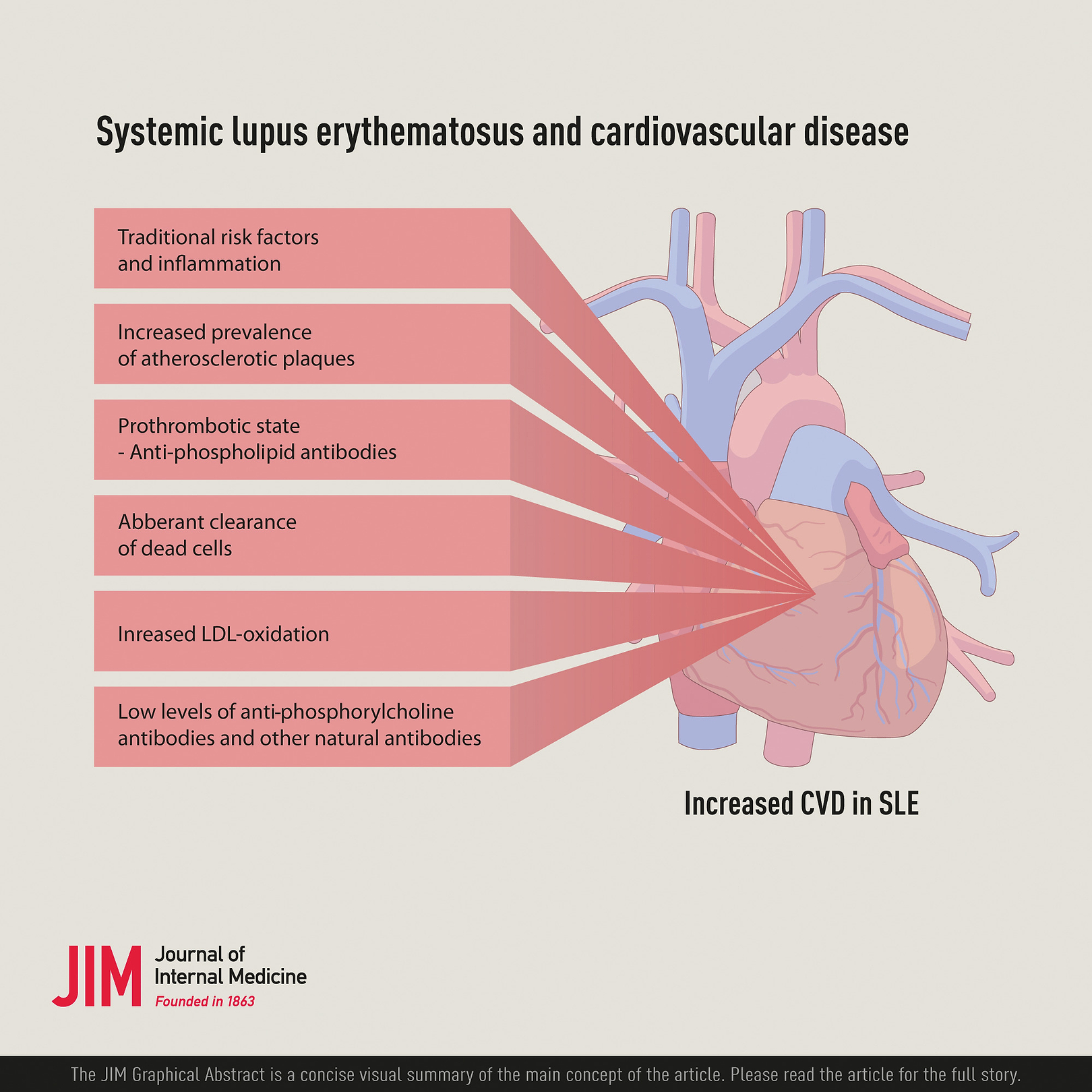 Troubles cardiovasculaires lupus érythémateux systémique.