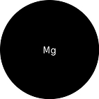 Magnésium PCA.