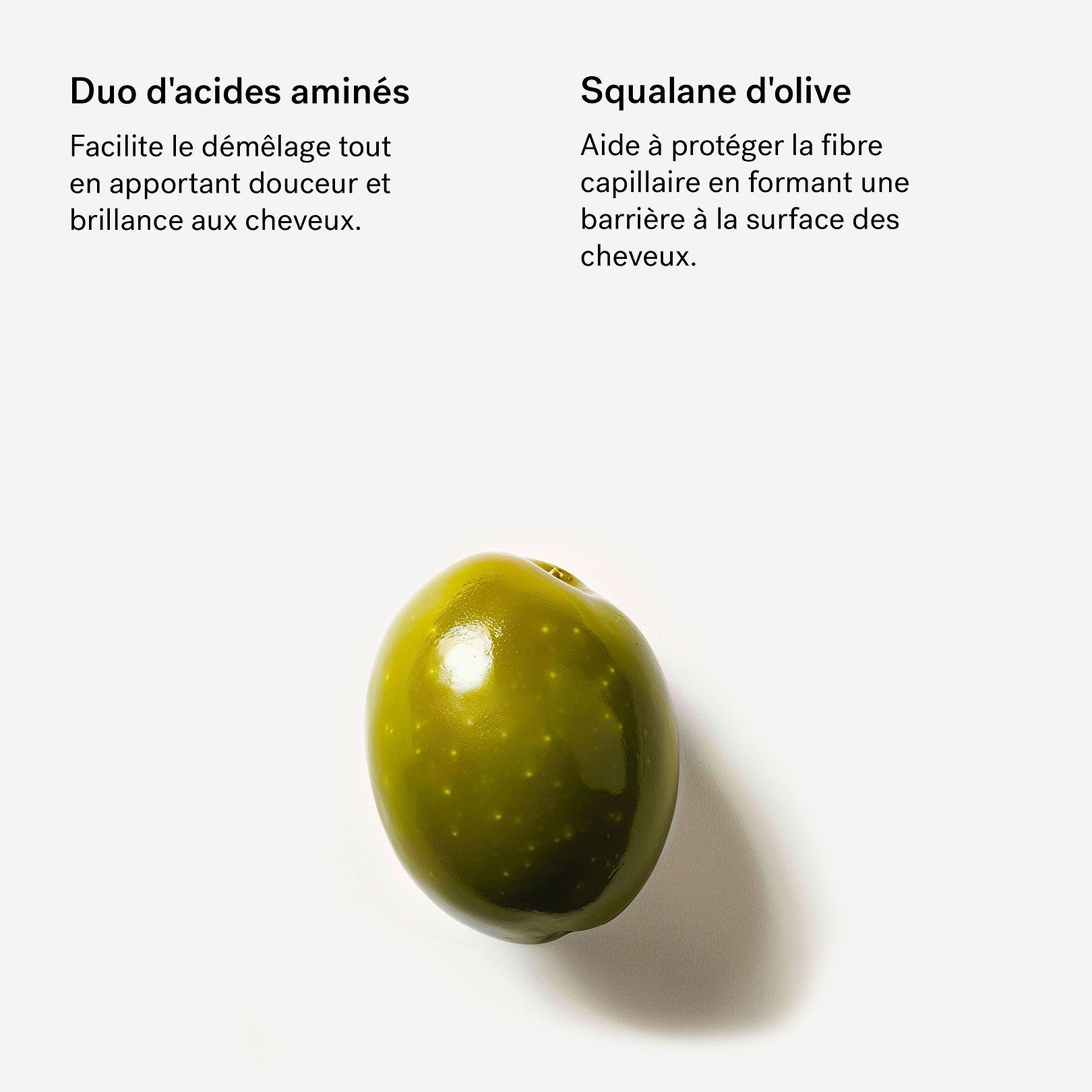Après-Shampoing Fortifiant Acides aminés 1% + Squalane — Typology