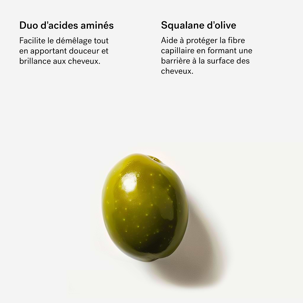Après-Shampoing Fortifiant Acides aminés 1% + Squalane — Typology