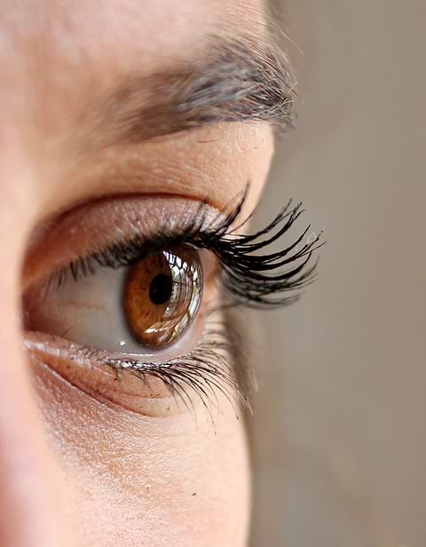 Forme de sourcils idéale.