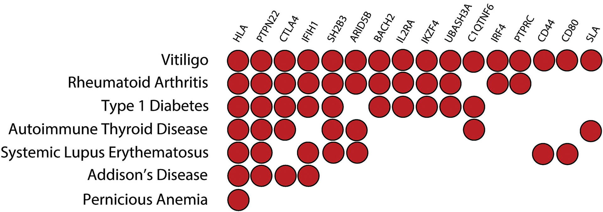 Gènes associés au vitiligo et à certaines maladies auto-immunes.