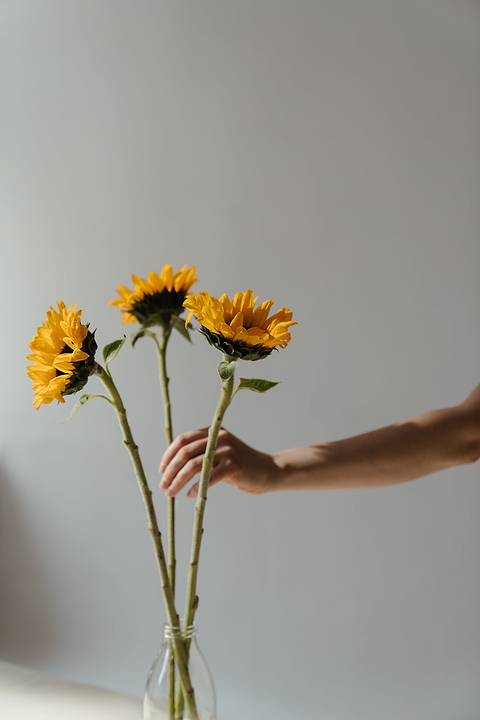 Bienfaits huile de tournesol peau.