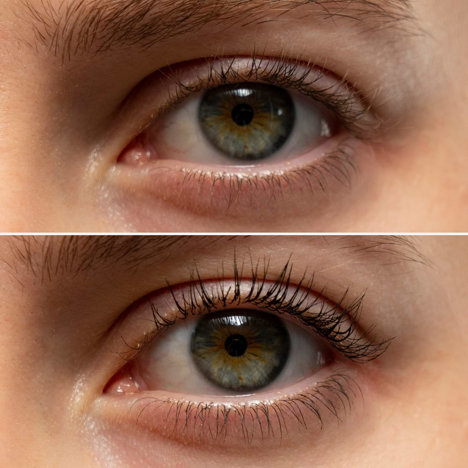 Sérum mascara Peptides de pois 1% + huile de ricin — Typology