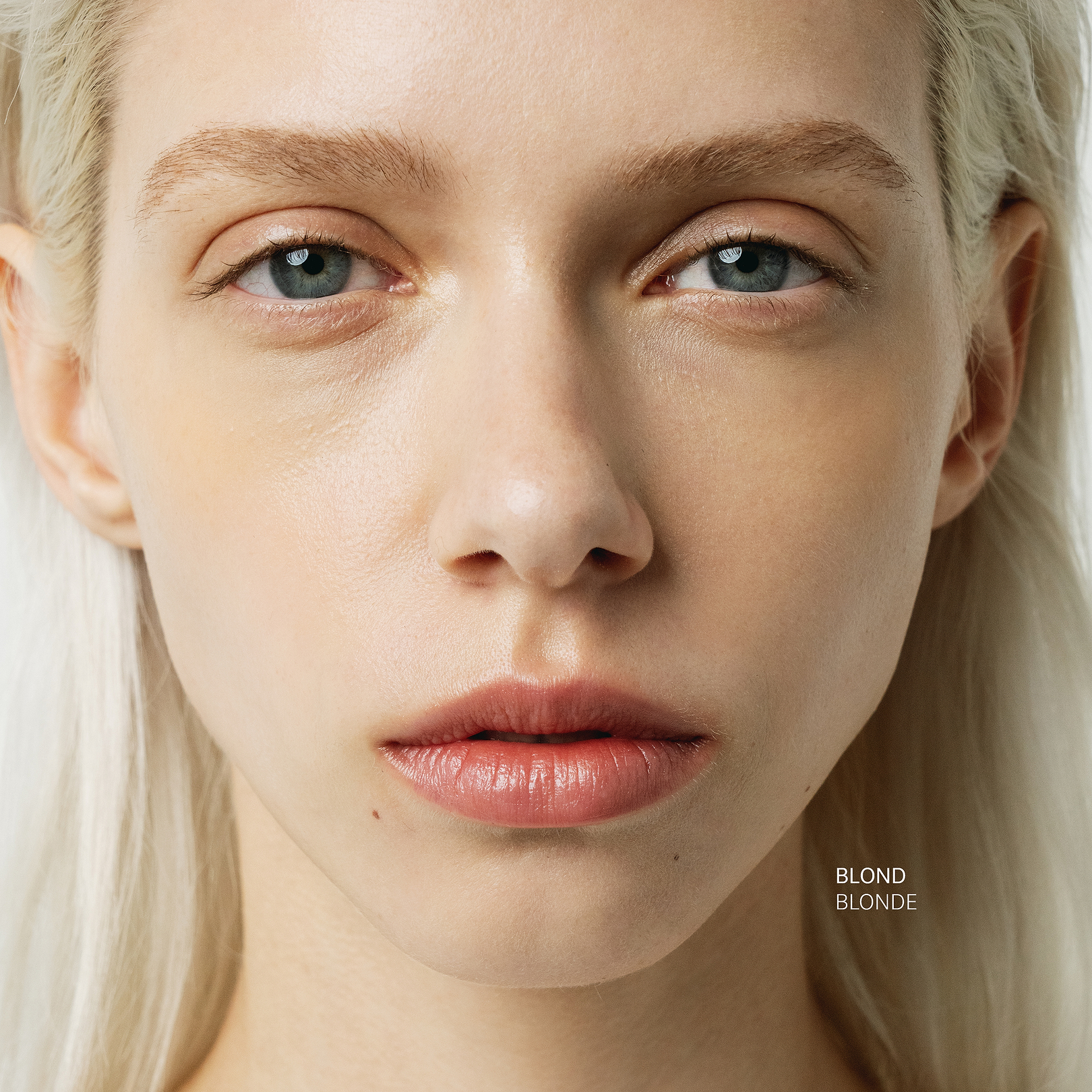 Gel Fortifiant Sourcils  Peptides de pois 1% + Huile de ricin — Typology