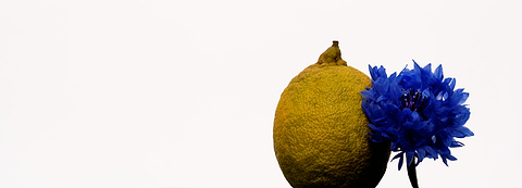 Bienfaits hydrolat de citron peau.
