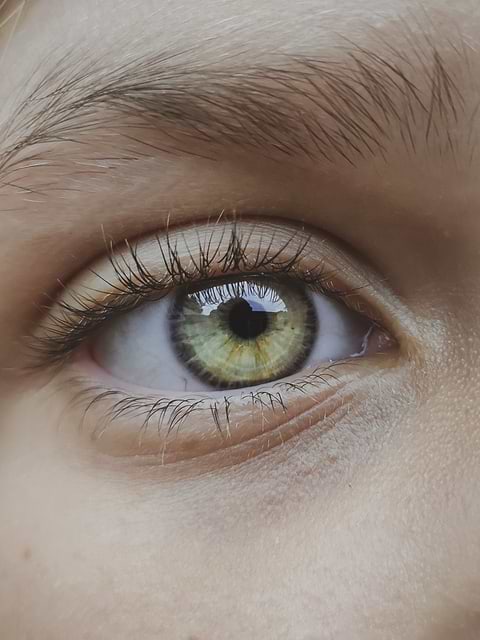 Astuces combler trous sourcils.