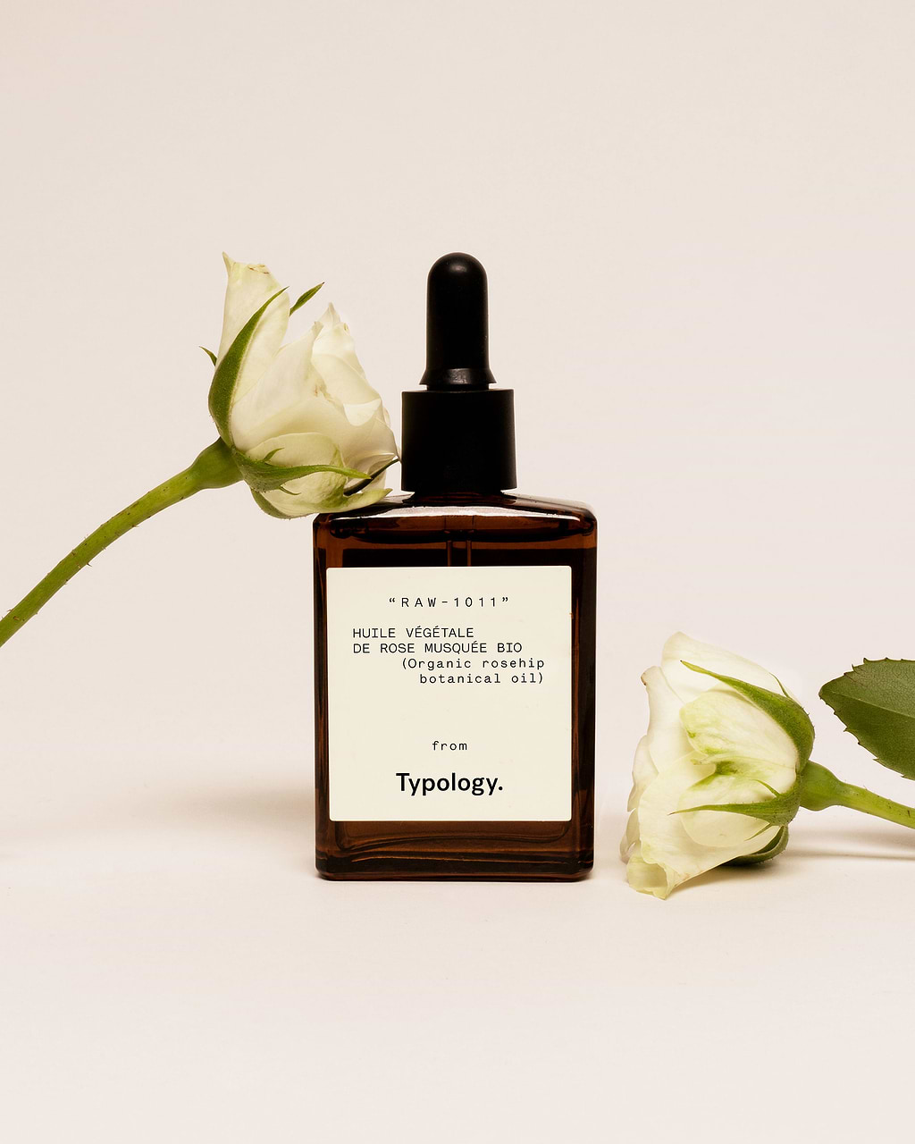 rose musquée mis en scène