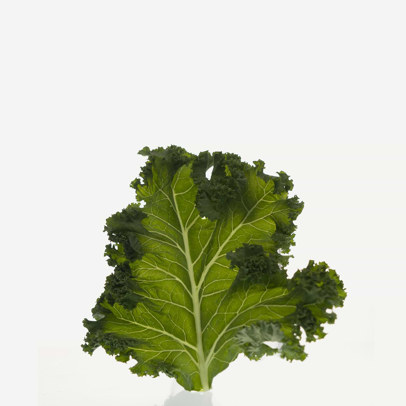 Comment obtenir de l’extrait de kale ?