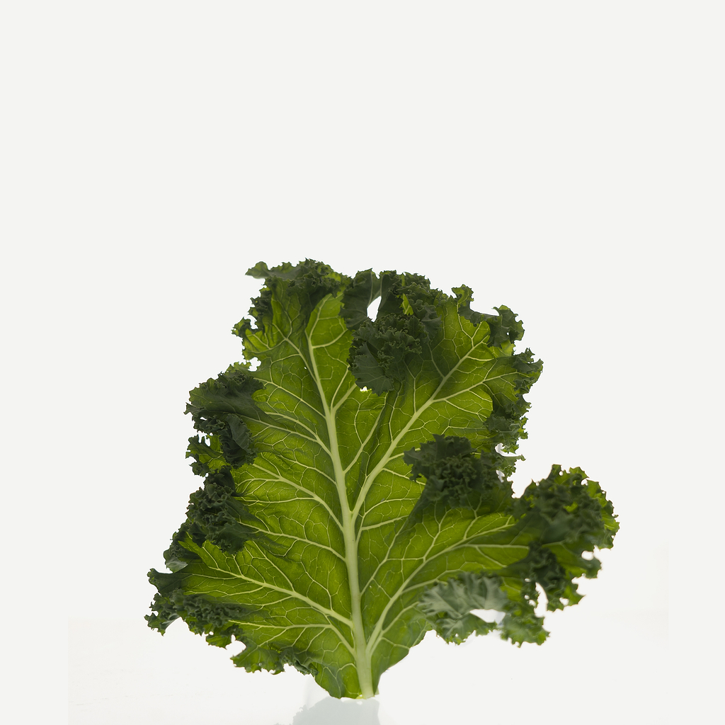 Comment obtenir de l’extrait de kale ?