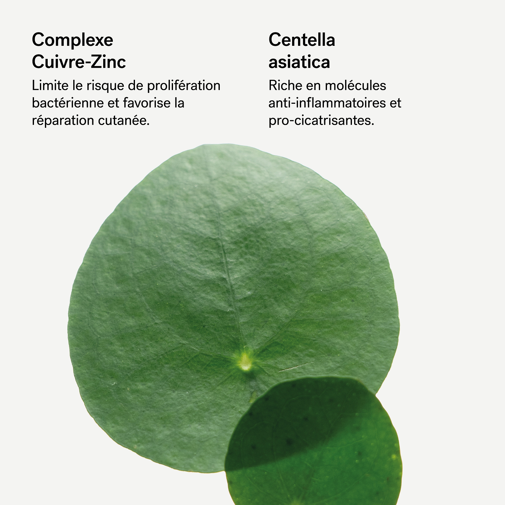 Baume cica-réparateur  Complexe cuivre-zinc 0,5% + Centella asiatica  — Typology
