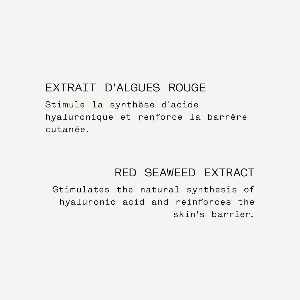 Sérum Repulpant Acide polyglutamique 3% + Extrait d'algue rouge — Typology