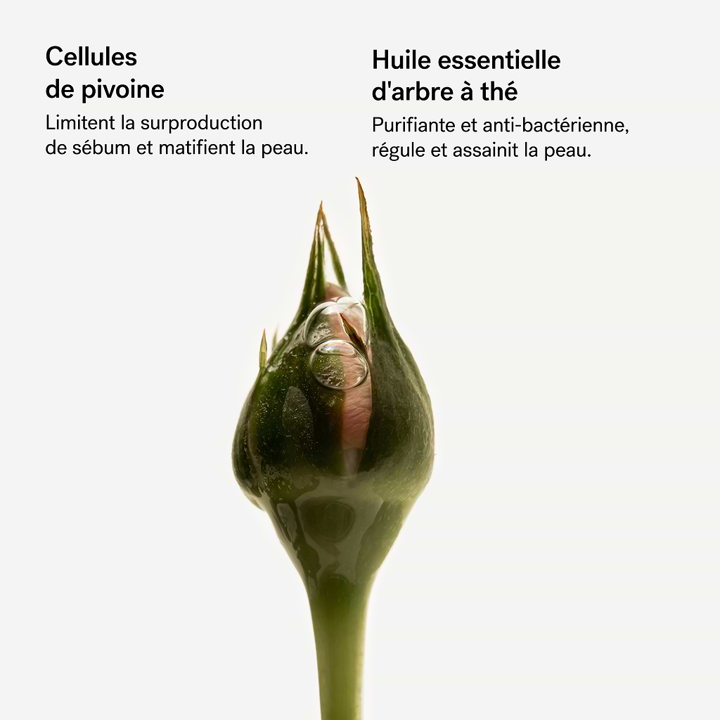 Assemblage Botanique Purifiant Cellules de pivoine — Typology