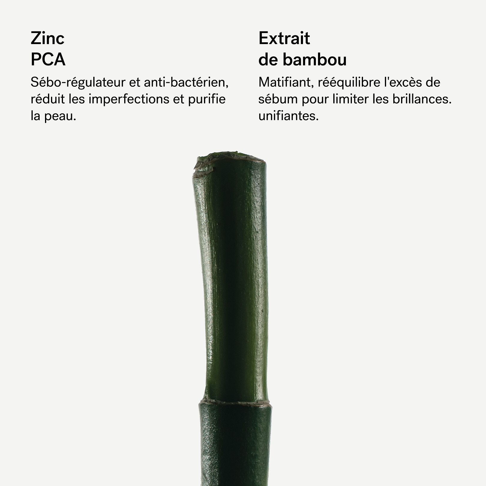 Crème Visage Purifiante Zinc PCA 4% + Extrait de bambou  — Typology