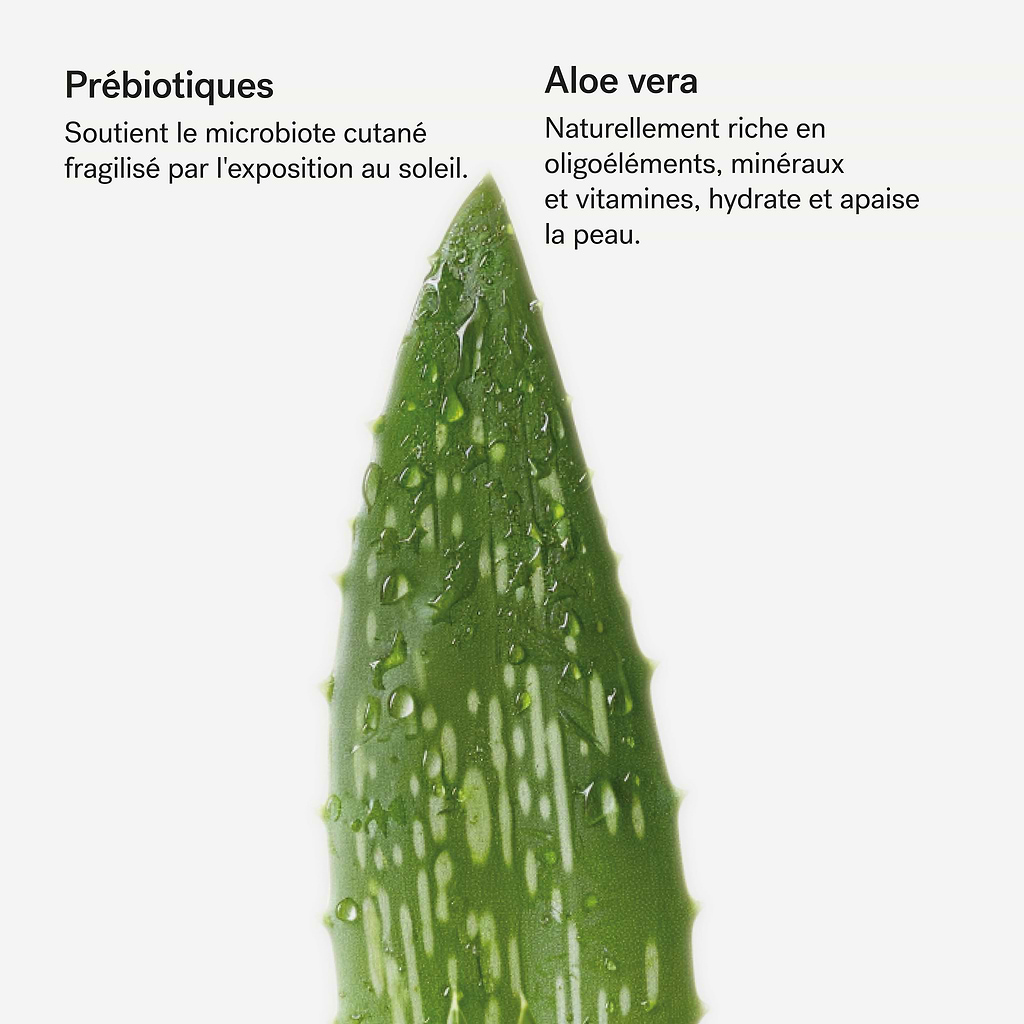 Émulsion Corps Après-Soleil Prébiotiques 1% + Aloe vera — Typology