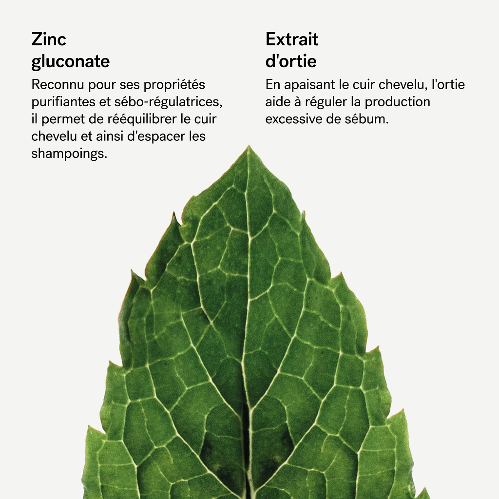 Shampoing traitant purifiant  Zinc gluconate 1% + Extrait d'ortie — Typology