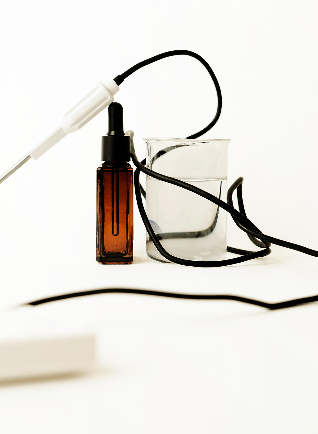 Obtention vitamine E