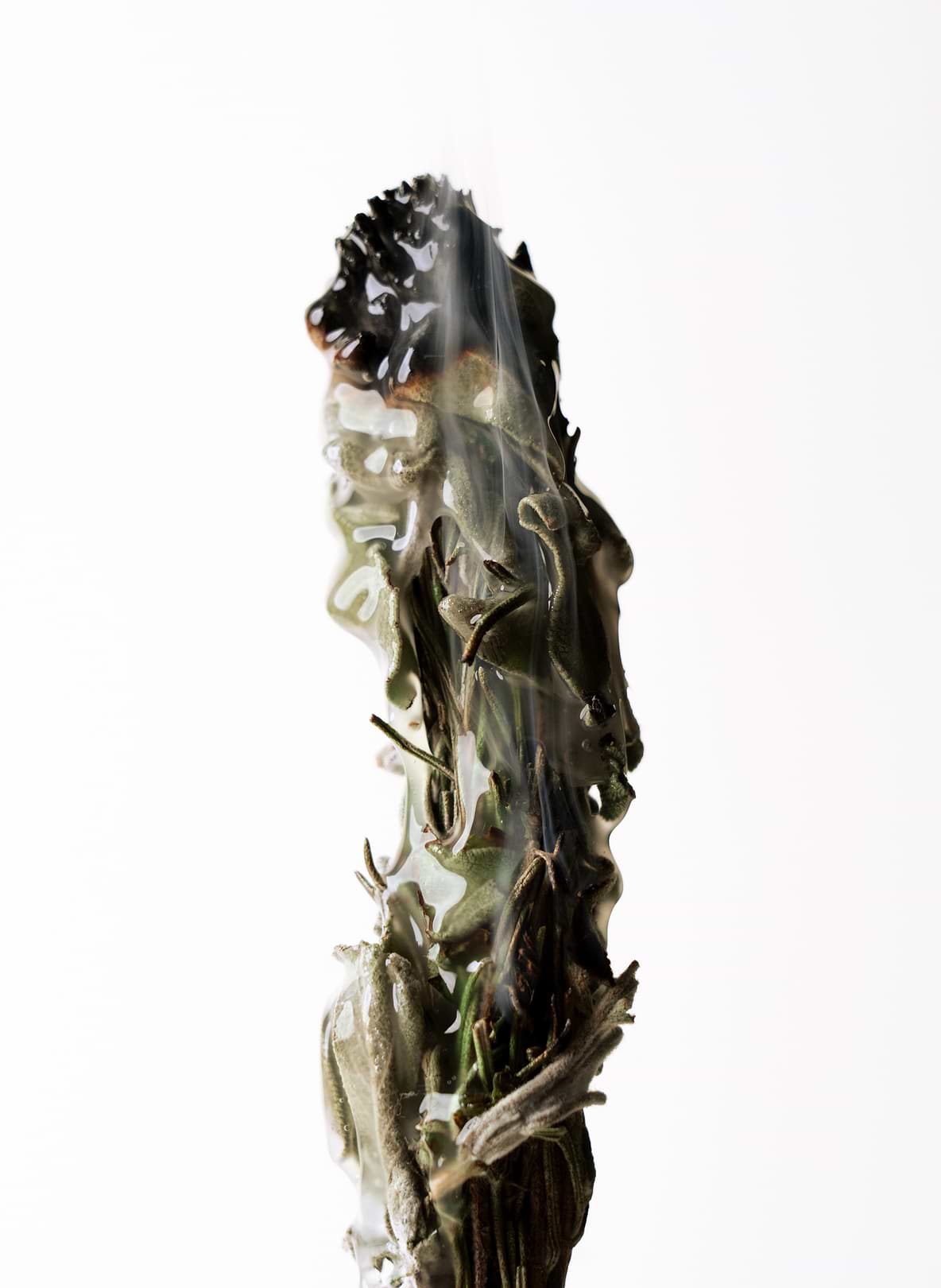 L'hydrolat de sauge officinale.