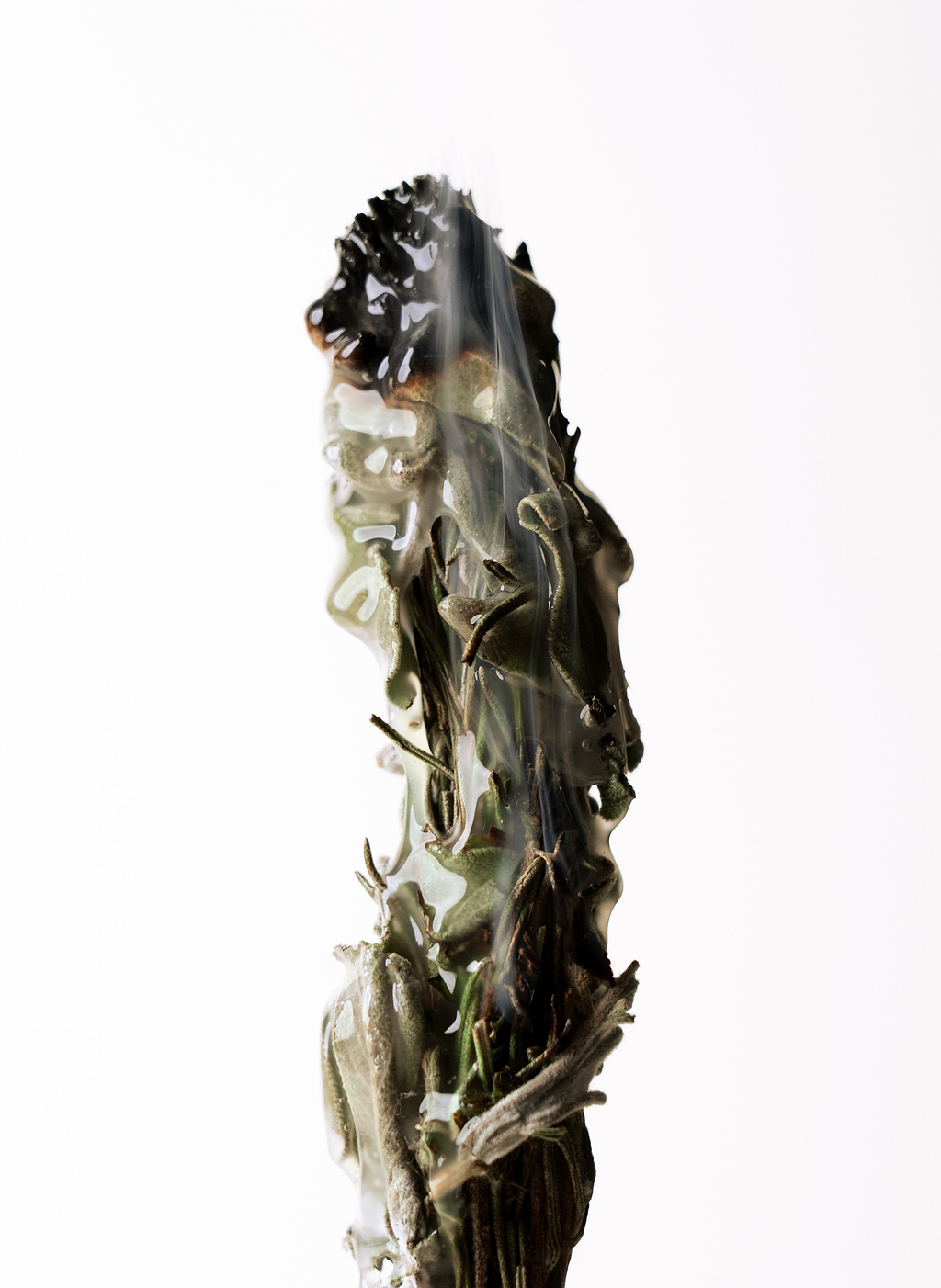L'hydrolat de sauge officinale.