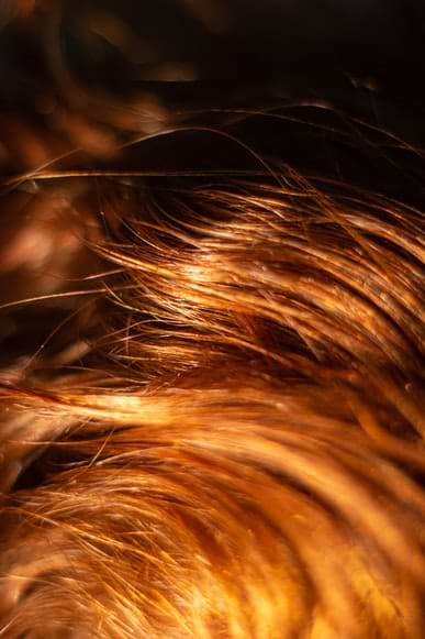 Quel masque utiliser pour les cheveux colorés ?