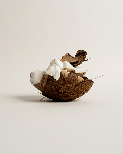 Informations sur l'huile de coco.
