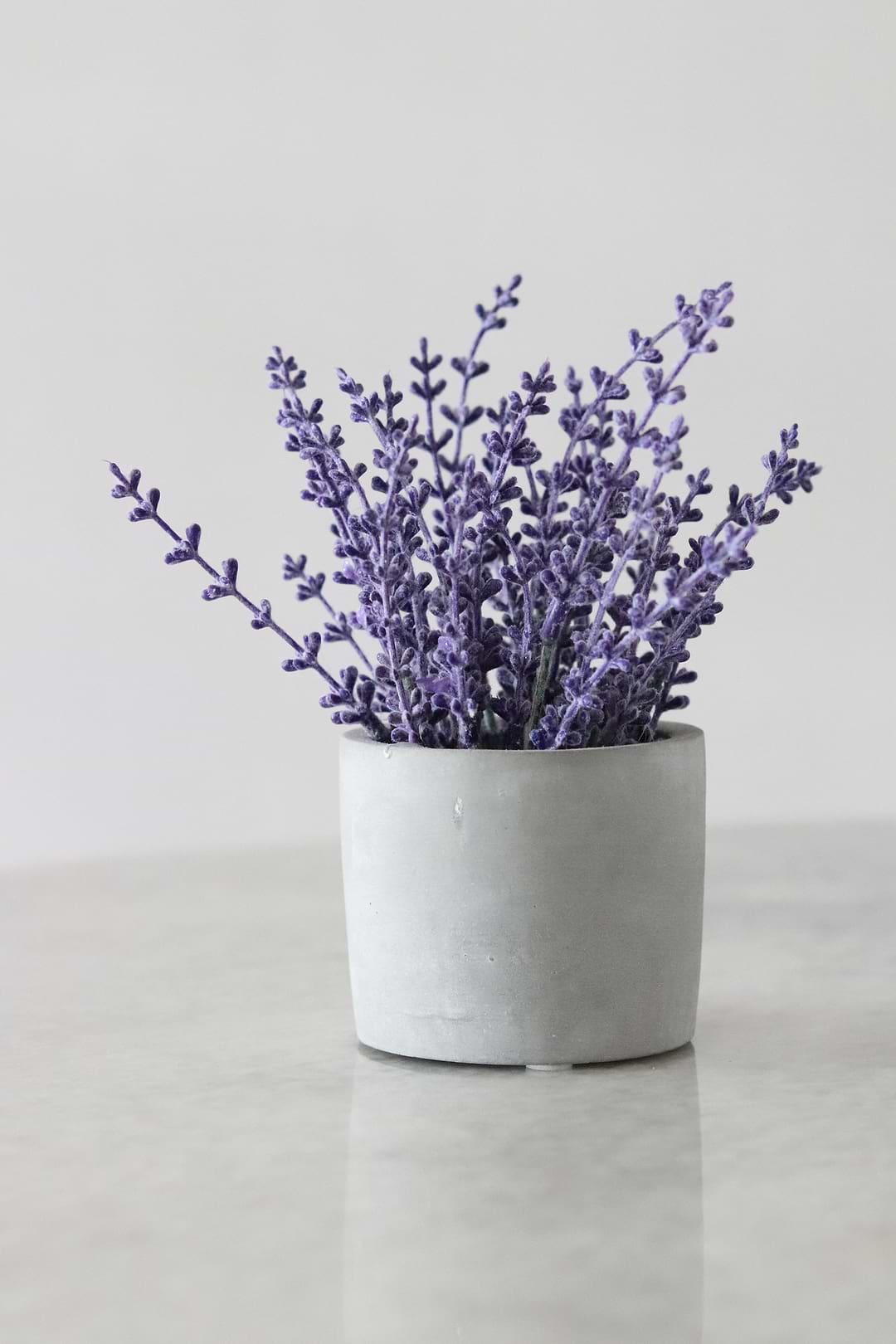 Informations sur l'huile essentielle de lavande vraie.