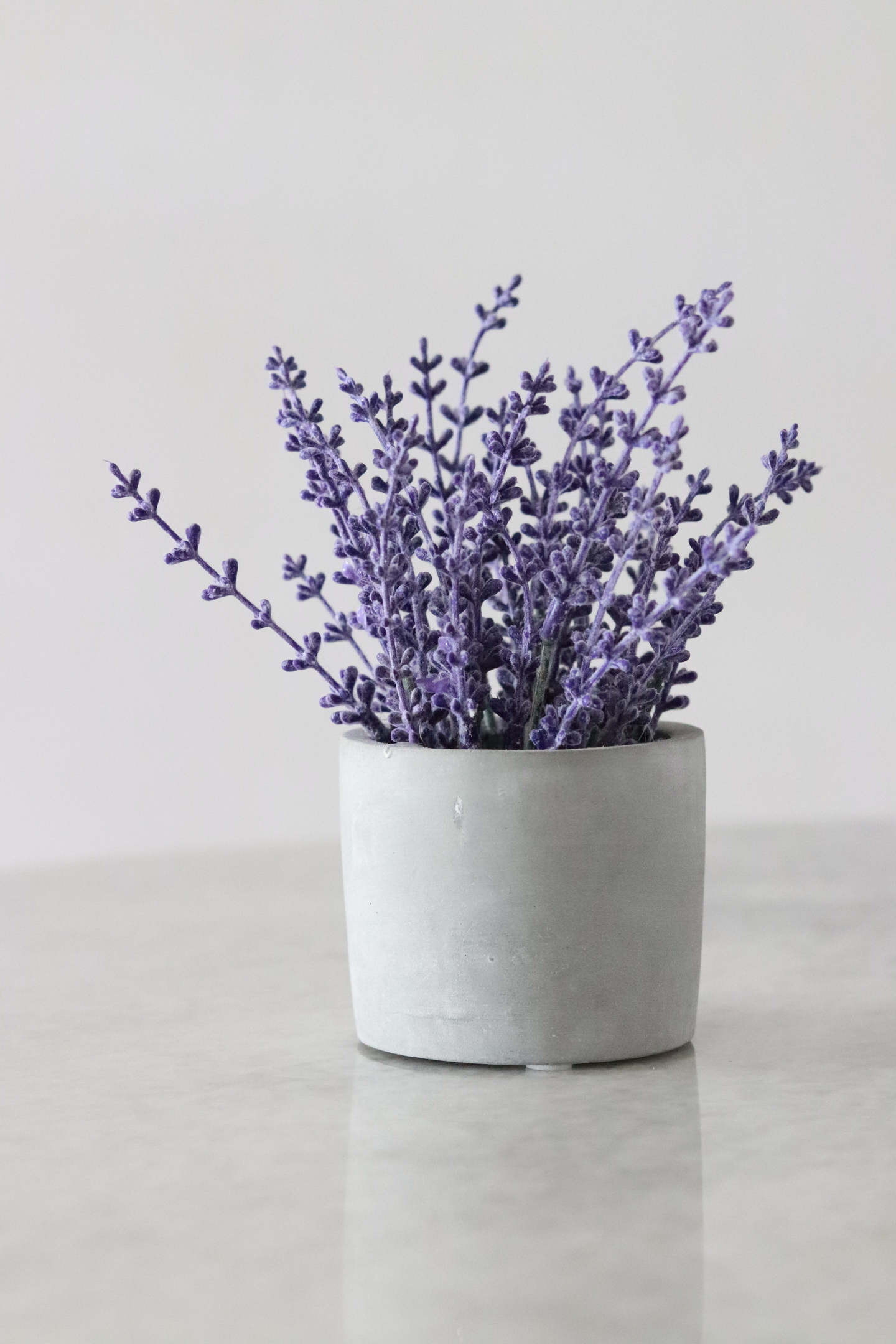 Informations sur l'huile essentielle de lavande vraie.