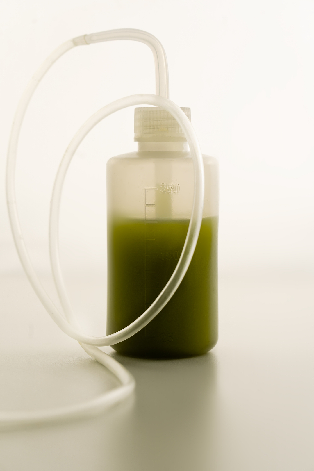 Dangers utilisation CBD en cosmétique.