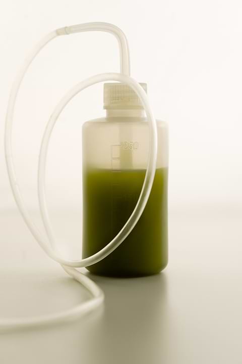 Dangers utilisation CBD en cosmétique.