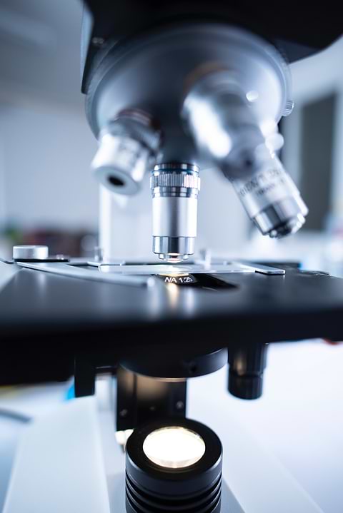 Lien entre microbiote et eczéma.