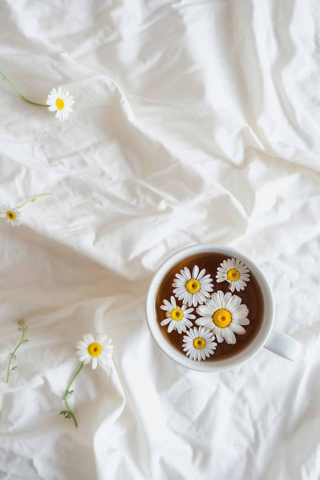 Tisane, thé, infusion… ont-ils des effets sur la peau ?