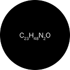 Stéaramidopropyl diméthylamine.