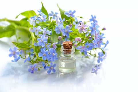 Quels sont les bienfaits des huiles sur le psoriasis ?