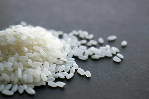 Informations sur Oryza Sativa Cera.