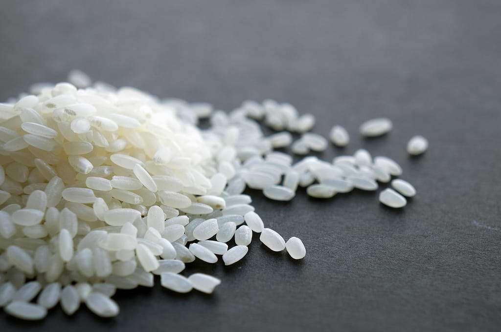 Informations sur Oryza Sativa Cera.