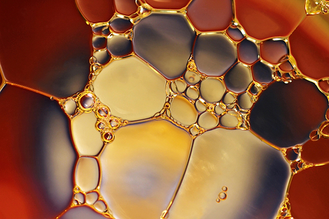 Composition phytochimique huile de pracaxi.