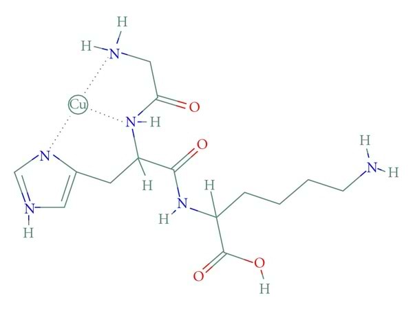Structure moléculaire du tripeptide GHK-Cu.