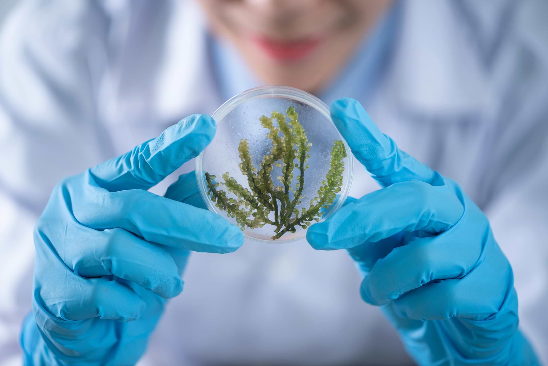 Différence prébiotiques probiotiques postbiotiques